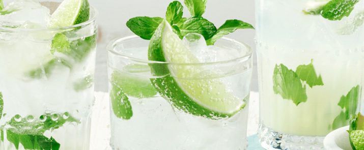 Virgin Mojito Recipe