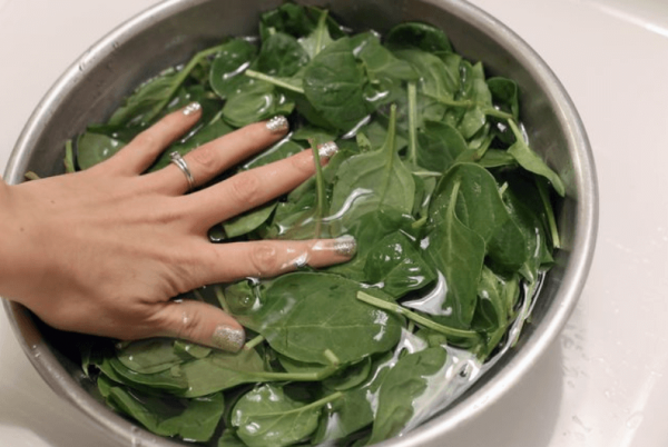 Wash Spinach in a pot