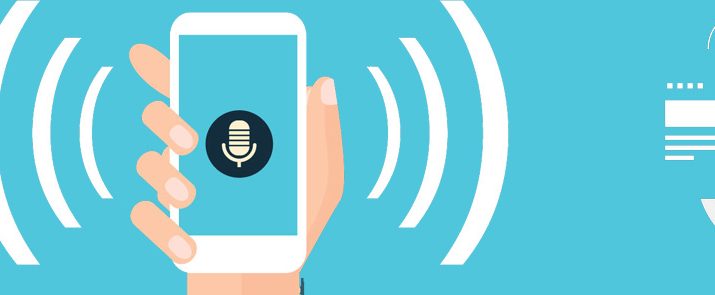 Global Voice Search Market