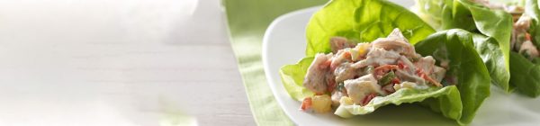 Hawaiian-Chicken-Salad - Banner