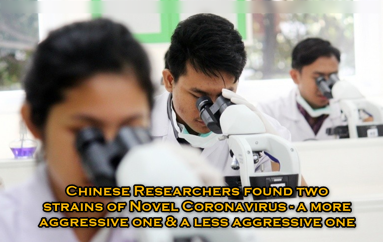 Chinese Researchers discovered two strains of Coronavirus