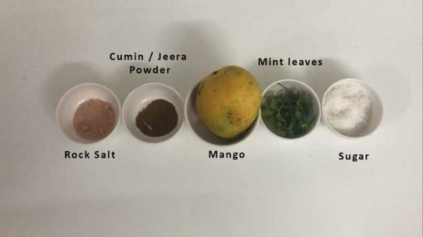 Mango Mojito Ingredients